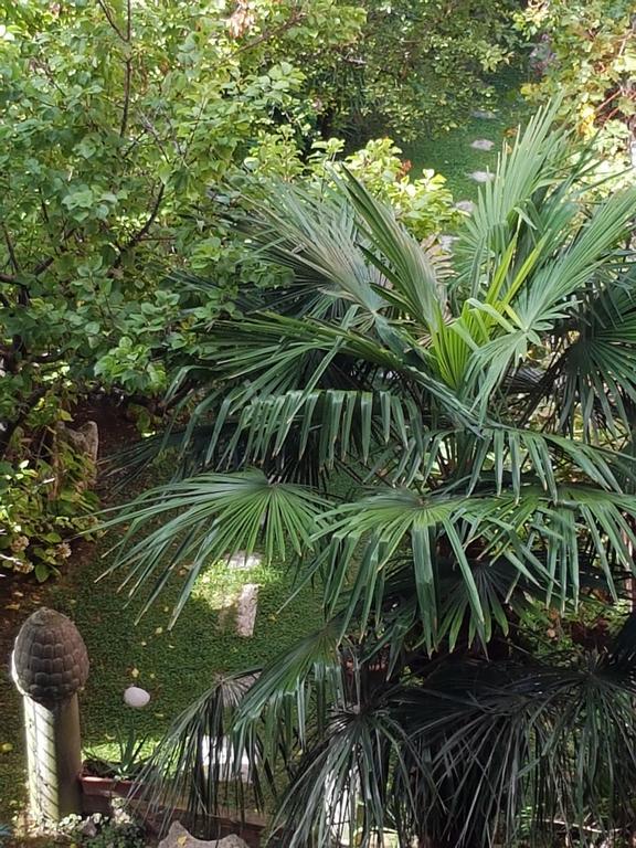 Appartamento Garden Ca' Rezzonico Βενετία Εξωτερικό φωτογραφία