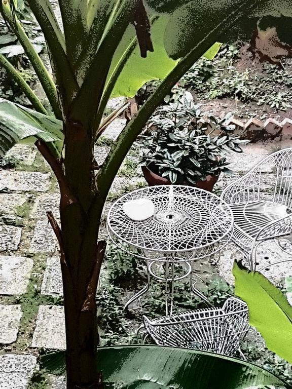 Appartamento Garden Ca' Rezzonico Βενετία Εξωτερικό φωτογραφία
