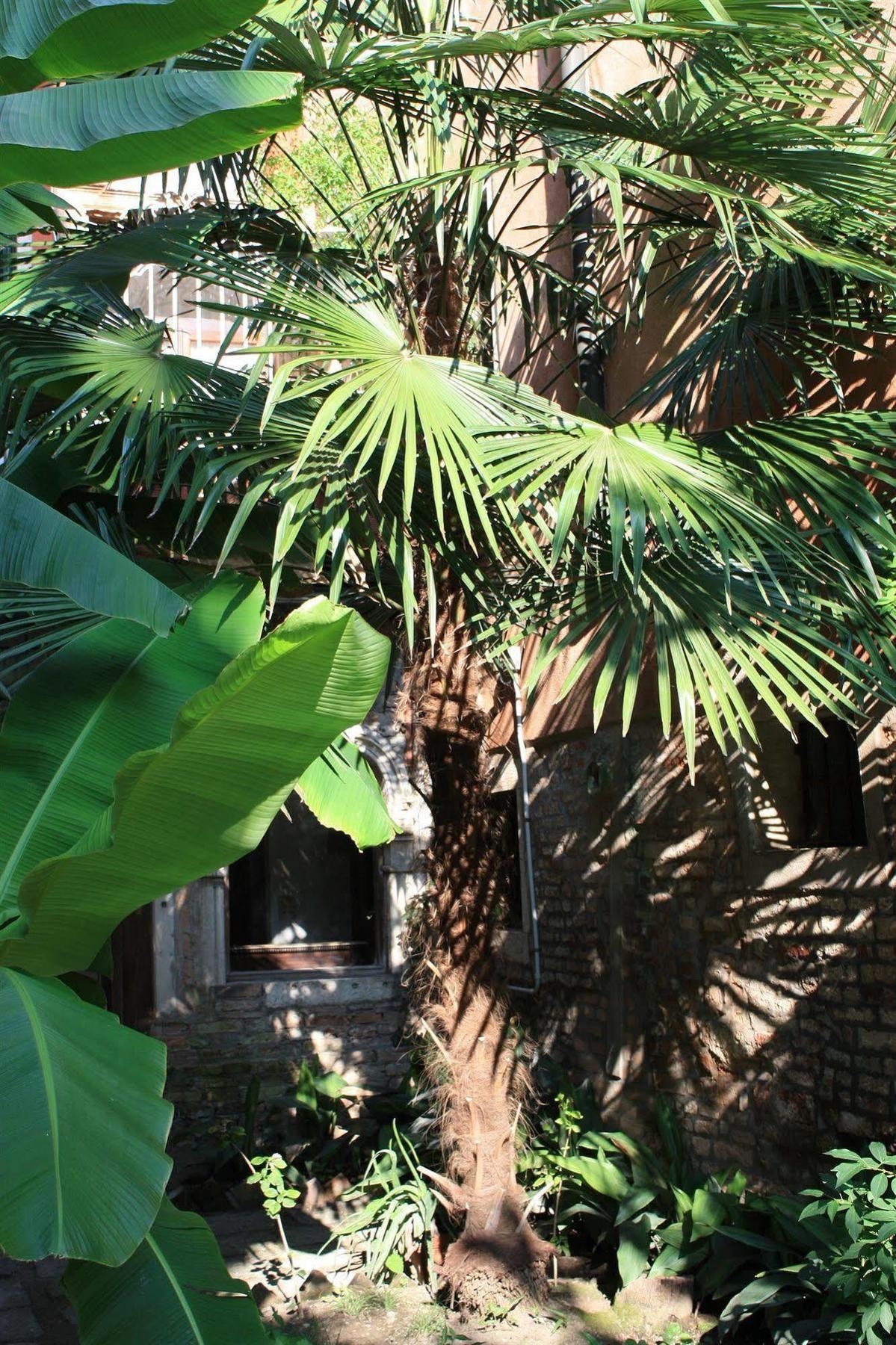 Appartamento Garden Ca' Rezzonico Βενετία Εξωτερικό φωτογραφία